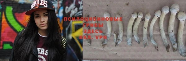 кокс Алексин