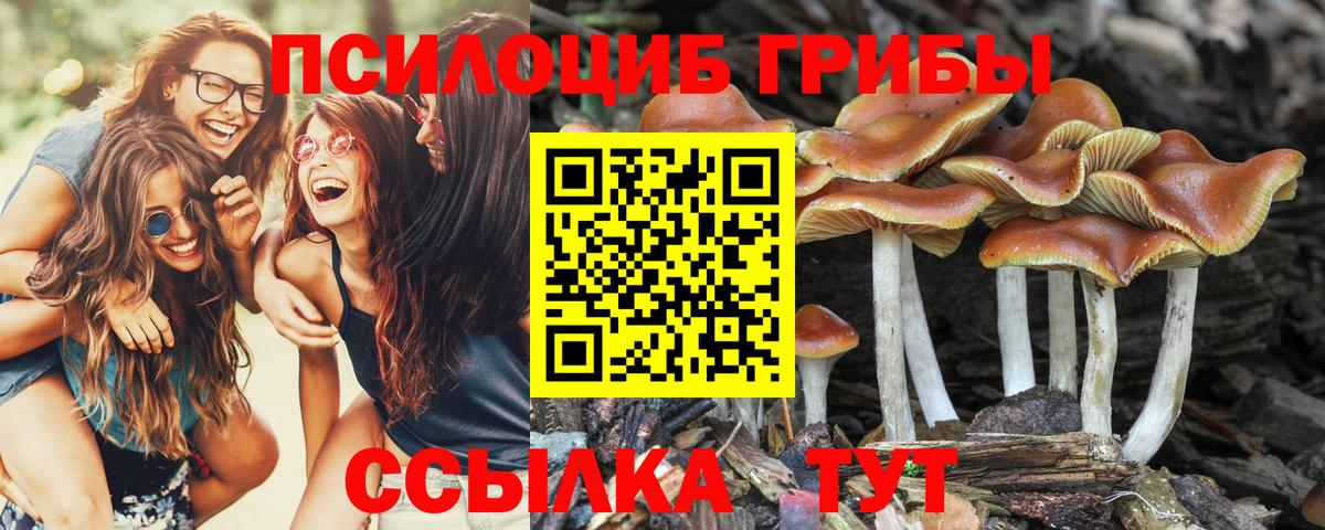 Галлюциногенные грибы прущие грибы  купить  цена  Псилоцибиновые грибы Psilocybe  Новотроицк  Вход с VPN 