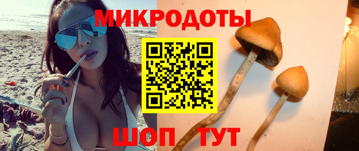 Галлюциногенные грибы Cubensis Новотроицк